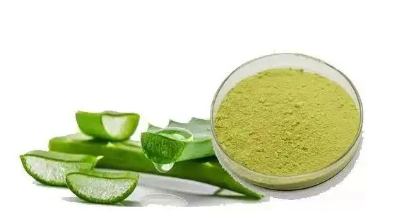 探索皮膚衛(wèi)士蘆薈苦素，揭開天然護(hù)膚新革命
