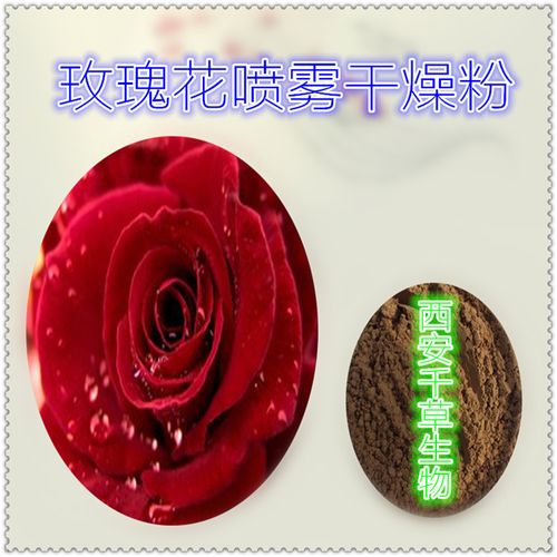 玫瑰花浸膏粉 廠家生產動植物提取物定做濃縮浸膏