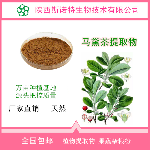 馬黛茶速溶粉 馬黛茶提取物 固體飲料代加工